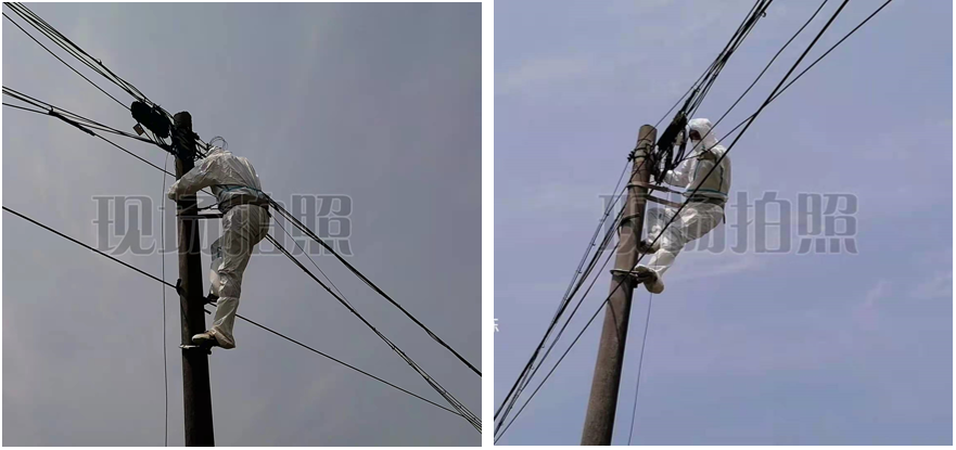 1652434534785602.png 图片关键词